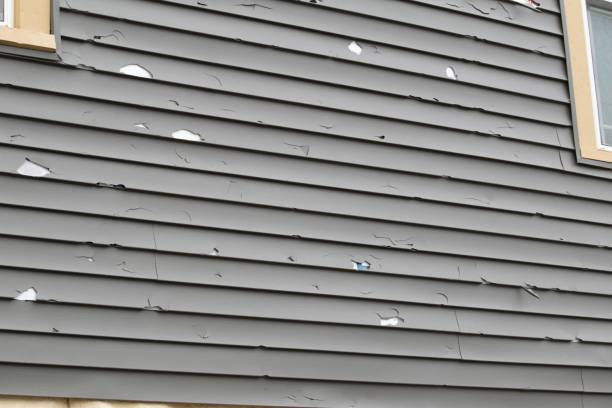 Best Aluminum Siding Installation  in Midway, AR